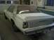 Primer on trunk